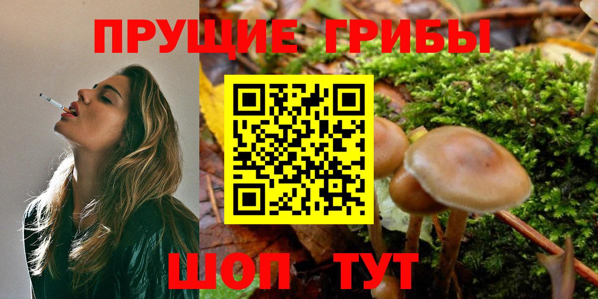 Бузулук  Галлюциногенные грибы прущие грибы  Вход с VPN 