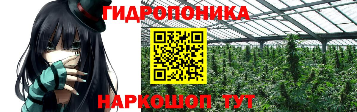 Бошки марихуана марихуана Бузулук